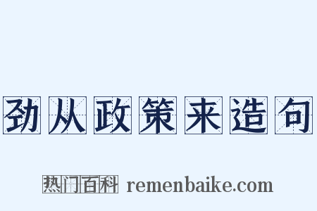 劲从政策来造句是什么意思的图片